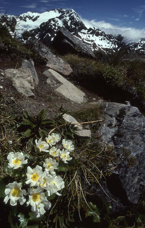 WT 041-12 New Zealand Arthurs Pass Hike.jpg